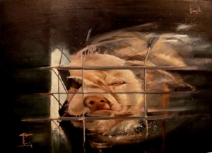 "Porco-cane-coniglio"cm 50x70